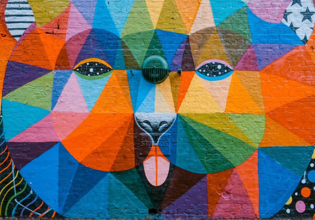 graffito stilizzato di un viso di un leone tutto colorato